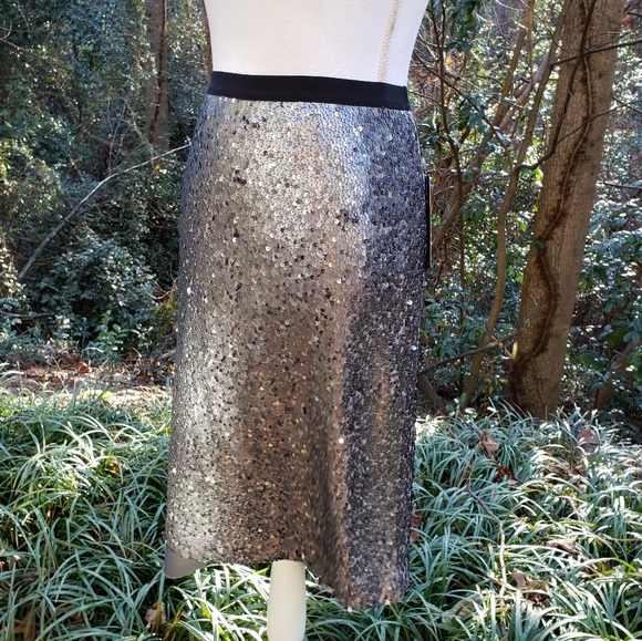 NIC+ZOE Twinkle Night Silvery Sequin Skirt Size 2 New - Picture 9 of 10